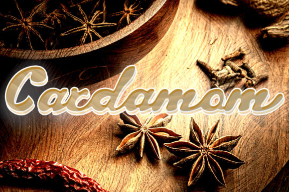 Cardamom Typeface: A Delicate Script for Elegant Brand Identity
