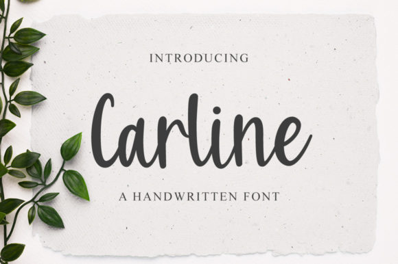 Carline Font Review: A Delicate Handwritten Typeface for Creative Branding
