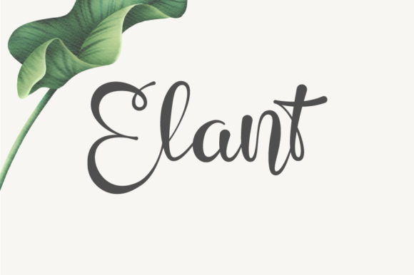 Elant Script Font Review: A Touch of Magic for Creative Branding
