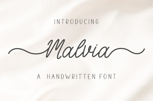 Malvia: The Vintage Script Font That Polished Our Brand Identity