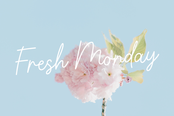 Simply Lovely Typeface Review for Handmade Brands