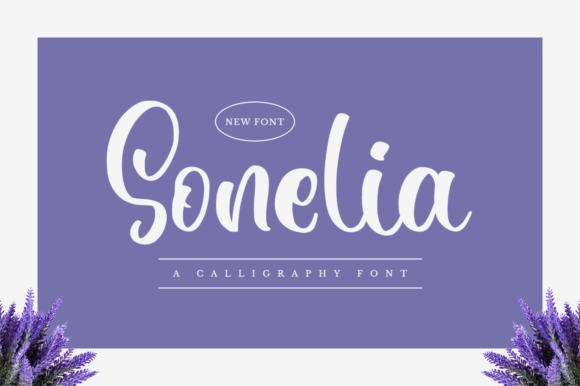 Sonelia: A Designer’s Honest Review of This Script Amp